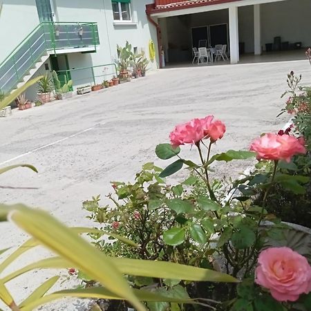 Gorizia Vacanze Appartamento In Villa Con Parcheggio Exterior foto